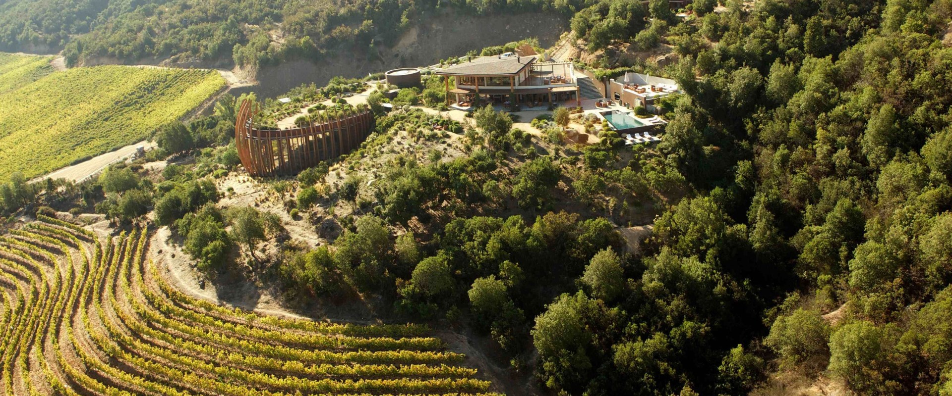 The Top Wineries in the World: A Wine Expert's Perspective