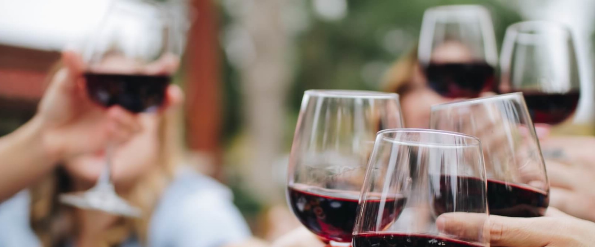 The Best Wines for Beginners: A Sommelier's Guide