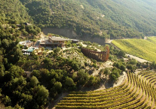 The Top Wineries in the World: A Wine Expert's Perspective